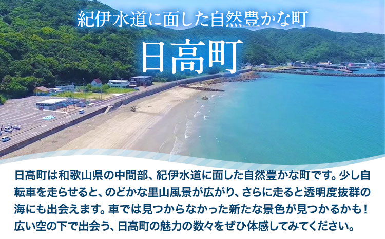レンタサイクル１日乗り放題券1枚《30日以内に出荷予定(土日祝除く)》サイクリング自転車電動アシストレンタル---iwsh_hdyumimy2_30d_23_17000_1m---