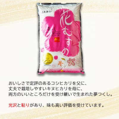 定期便 12回 福岡県産 米 夢つくし 精米5kg×12ケ月