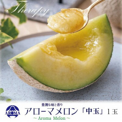 【ふるさと納税】【通年出荷】アローマメロン 白等級(中玉) 1玉入【配送不可地域：離島・北海道・沖縄県】【1170108】