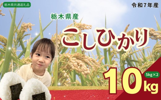 コシヒカリ10kg（5kg×2袋） | 米 こめ コメ kome 白米 精米 お米 こしひかり ｺｼﾋｶﾘ 栃木米 令和7年度米 令和7年度 2025年度米 2025年度 ブランド米 栃木県 特産品 送料無料 【栃木県共通返礼品】 栃木県 下野市 しもつけ市