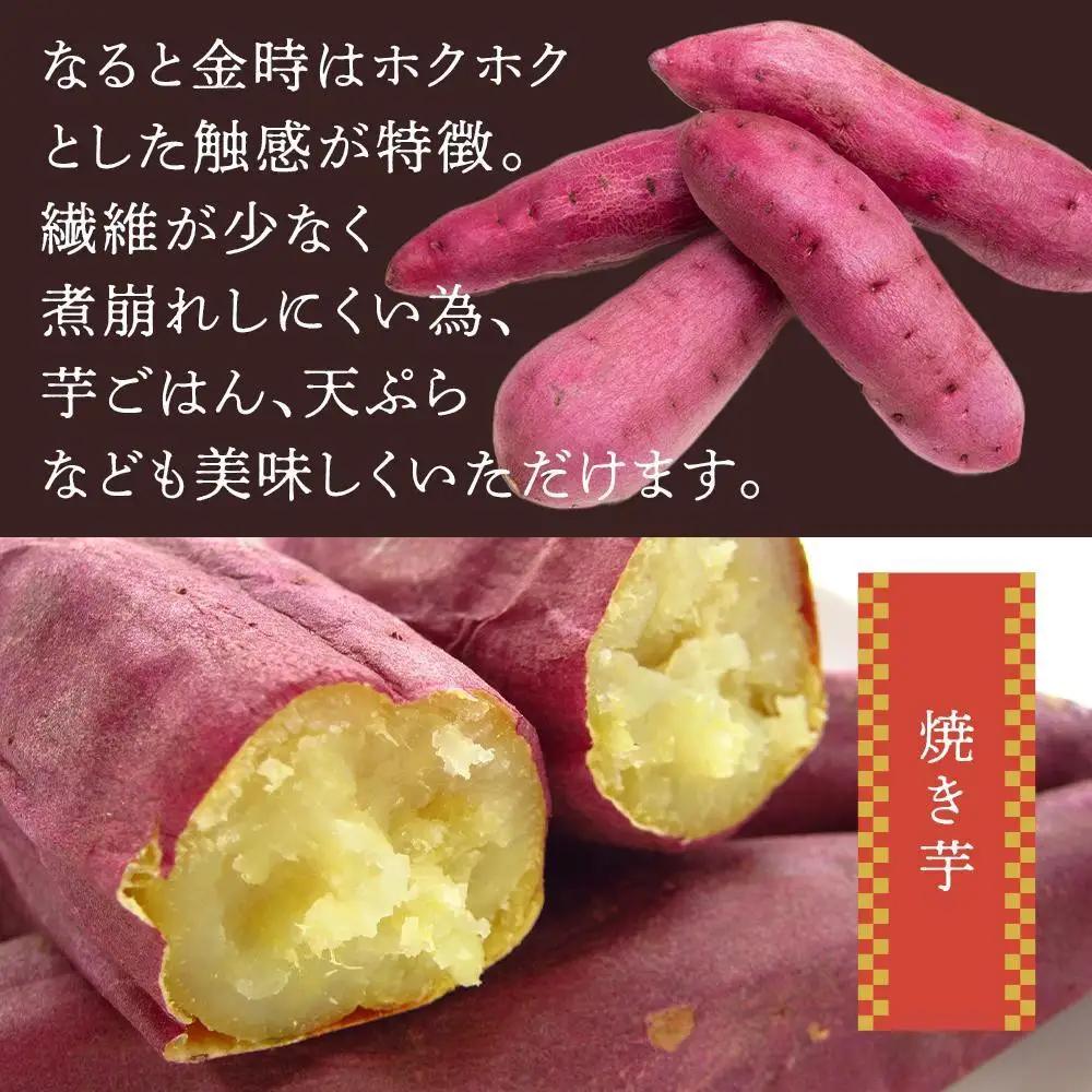 さつまいも なると金時「甘姫」約5kg ｜さつまいも 新芋 7月下旬から順次発送