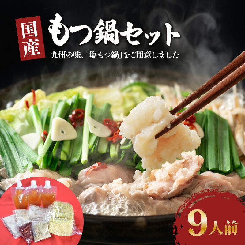 【ふるさと納税】塩もつ鍋 9人前 900g 牛モツ 国産 ラーメン 麺 シメ 塩スープ 薬味 セット もつ鍋 職人 仕込み 相性抜群 国産牛 ホルモン 福岡 冷凍 簡単調理 グルメ お取り寄せ お取り寄せグルメ ダルム屋 名物 九州 福岡県 久留米市 送料無料