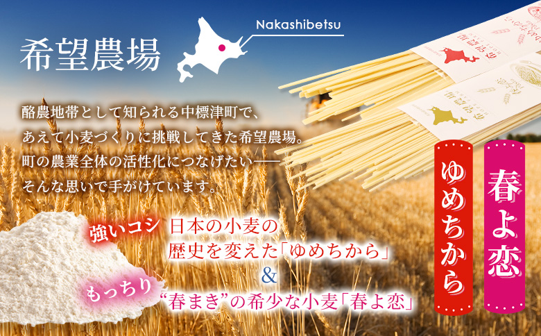 北海道中標津町産「春よ恋」パスタ・「ゆめちから」パスタ 各2袋（合計4袋） | 春よ恋 ゆめちから 食べ比べ 北海道小麦のもちもちパスタ 国産小麦 本格パスタ 春よ恋パスタ ゆめちからパスタ 小麦の香