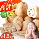 【ふるさと納税】【真空パック】リピーター続々！ 洗い れんこん 約1.5kg / 農家直送 レンコン 蓮根 小分け 佐賀県産 野菜 根菜 白石町産【和泉農園】 [ICE002]