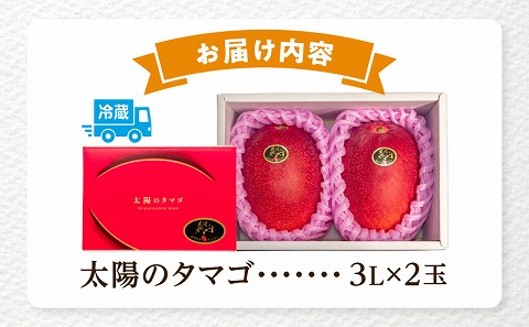 《2025年発送先行予約》【期間・数量限定】太陽のタマゴ3L　2玉