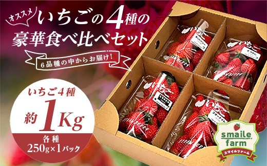
                  スマイルファーム オススメいちごの4種の豪華 食べ比べ セット 約1kg FAF-0037
                