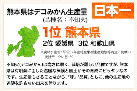 不知火 デコみかん ( デコポン と同品種 ) 不知火 ご家庭用  熊本県産 ( 荒尾市産含む ) 訳あり 約 5kg (12-24玉前後) 柑橘 みかん フルーツ 不知火 訳あり 訳アリ でこみかん