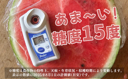 抜群の甘さ! スイカ 2玉 大玉 (6kg以上) 甘い 高糖度 西瓜 すいか 種なし 黒玉 産地直送