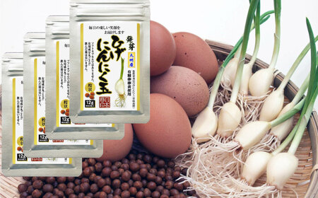 【発芽ひげにんにくと有精卵】 ひげにんにく玉 4袋（1袋60粒入） / にんにく卵黄 にんにく ニンニク にんにく玉 健康食品 / 佐賀県 / 日本にんにく[41AAAO004]