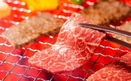 【訳あり】【A4～A5】 長崎和牛 赤身 モモ焼肉用 約500g ／ 和牛 牛肉 ぎゅうにく お肉 おにく 肉 にく 牛もも 牛モモ もも モモ 焼肉 やきにく バーベキュー BBQ 長崎県 時津町 