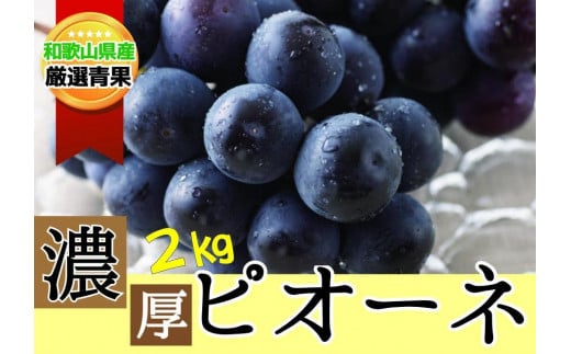 【甘さとみずみずしさが自慢】種なしピオーネ＜ぶどう約２kg＞★8月下旬から9月中旬発送★