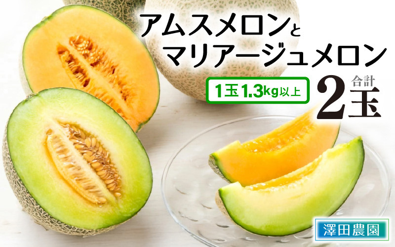 
            【先行予約】アムス・マリアージュメロン 2種（1.3kg以上2玉入）農園1番のおすすめ！ / 期間限定 果物 フルーツ 産地直送 青肉 赤肉 人気 ※2026年7月上旬より順次発送 [aw039-a003]
          
