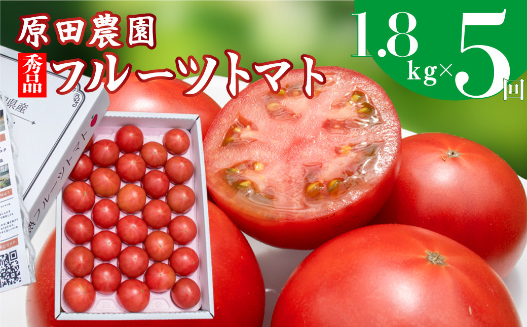 
            【5回定期便】フルーツトマト 原田農園 約1,800g 大箱（12月下旬～5月頃発送）＜2025年12月下旬頃より順次発送＞
          