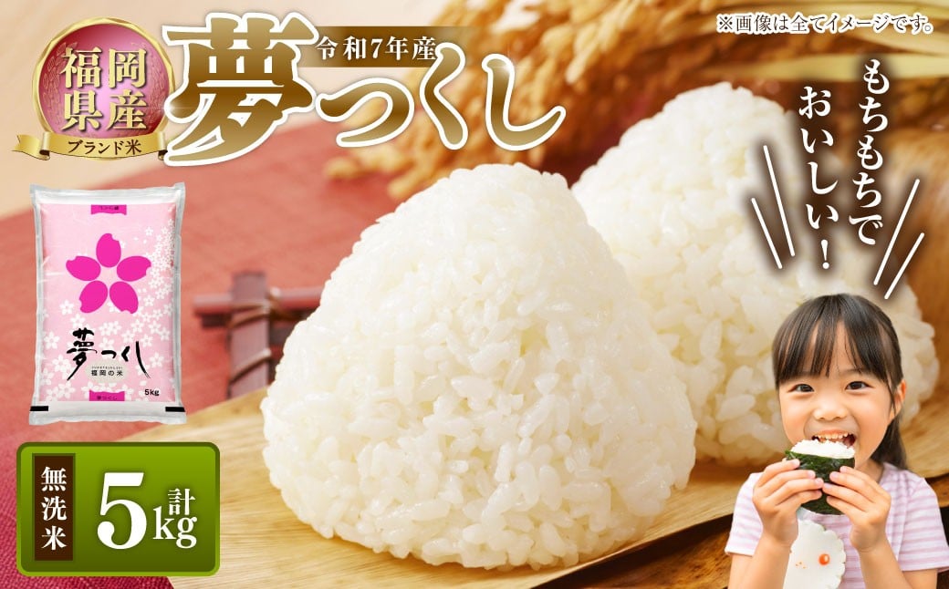 【令和7年産】 福岡県産 夢つくし 無洗米 5kg ／ ゆめつくし お米 米 ご飯 ブランド米 九州 福岡県 岡垣町