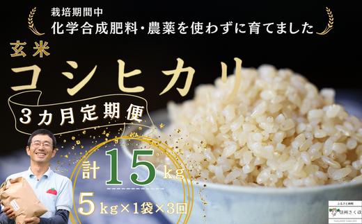 
定期便　玄米　15キロ　炊きあがりのつやと香りが良く、うま味も強い　コシヒカリ　佐久穂とさや農園〔ST-B5-1-T3〕５キロ×１袋　３カ月　計15キロ
