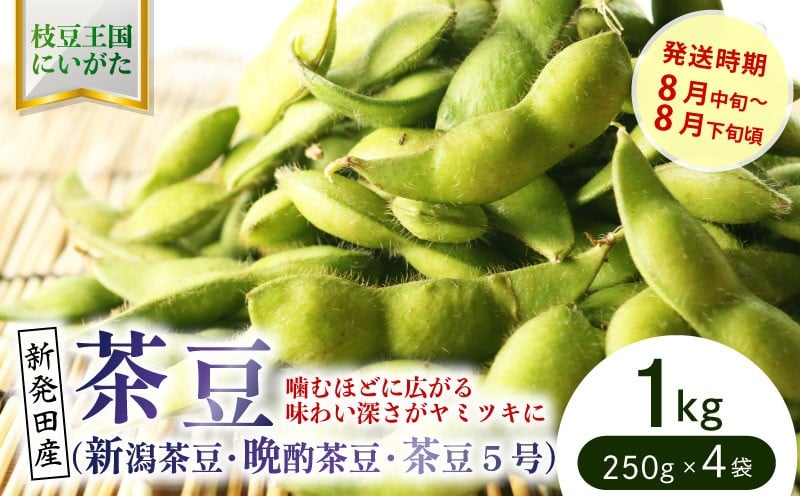 
            晩酌のお供におすすめ！ 茶豆 1kg 【 数量限定 1kg 茶豆 茶豆 枝豆 先行予約 新潟産 ビール 株式会社せいだ 新潟県 新発田市 seida022 】
          