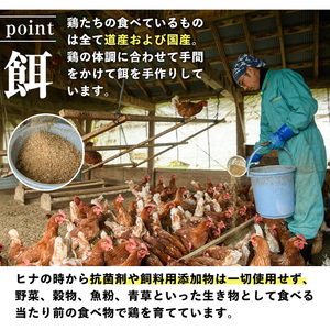 平飼い 昔ながらの庭先たまご 40個 サイズ混合  卵 玉子 【ファームあるむ】A7052