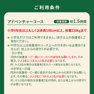 【アドベンチャーコース】フォレストアドベンチャー・おおすみ グループ体験チケット (最大10名様)【フォレストアドベンチャー・おおすみ】 D48