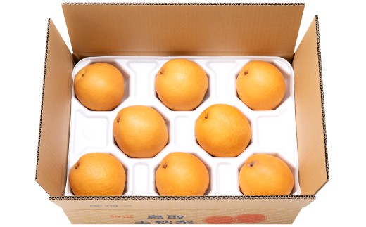 【期間限定】たにがみ農園の王秋 5キロ箱　(鳥取県産)