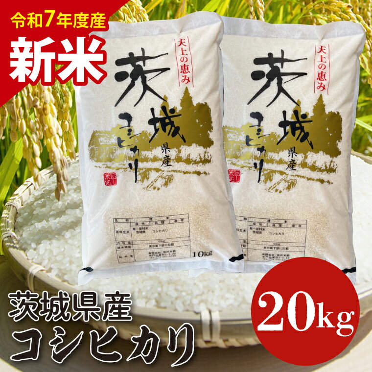 【ふるさと納税】【数量限定】【令和7年産 新米】茨城県産コシヒカリ 20kg 【お米 ごはん こしひかり 老舗 米屋 おにぎり ごはん 茨城県 水戸市 20キロ】(HQ-203)