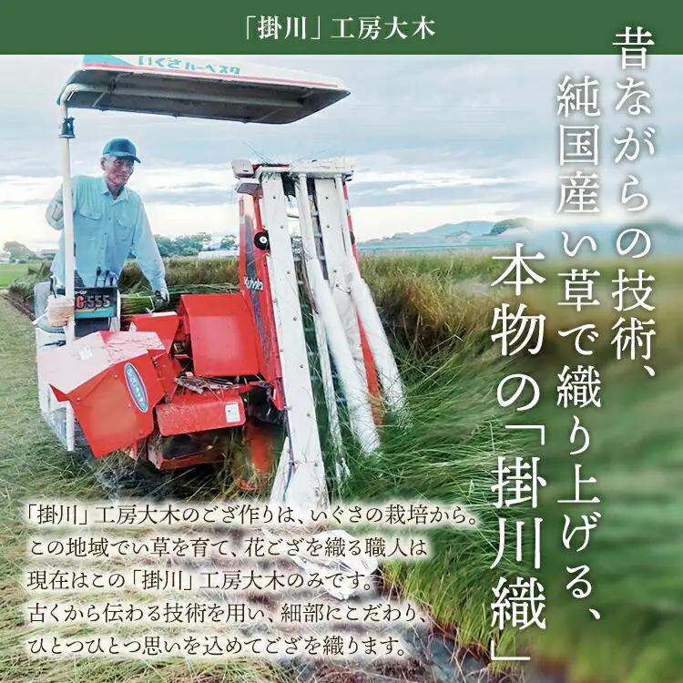 純国産天然いぐさ　「掛川　虹」1畳（赤色）　BG016