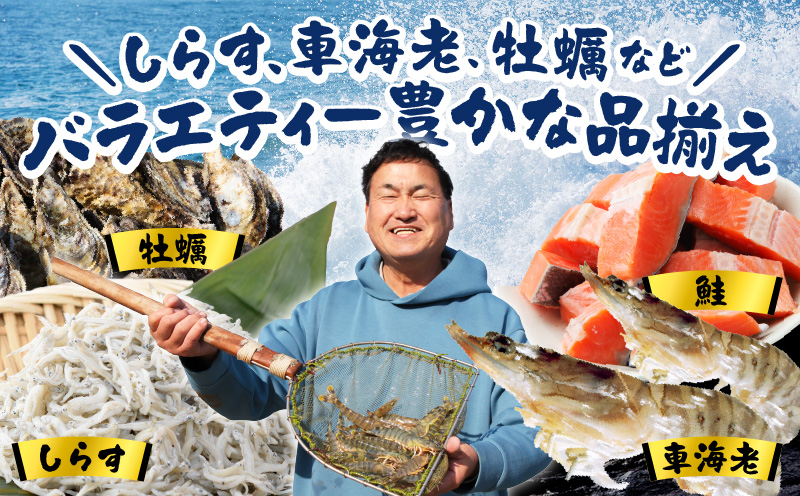 【定期便】銀鮭 切身 約50g×20切れ 全6回【お弁当サイズ 小分け 漁師 手切り 1kg さけ サケ 切り身 弁当 朝食 時短 訳あり サイズ不揃い 規格外 冷凍食品】 G4011