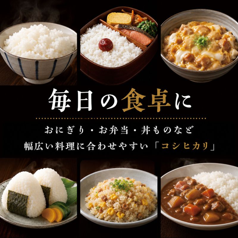 【定期2ヶ月】コシヒカリ　白米　10kg（5kg×2）令和7年産 お米 銘柄米 ご飯 おにぎり お弁当 和食 食卓 精米 国産 千葉県産 産地直送 