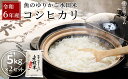 【ふるさと納税】【数量限定】令和6年産 新米【湖魚と共に育てたお米】魚のゆりかご水田米「コシヒカリ」白米5kg×2セット【柴田ファーム】 | 精米 こだわり 安心 送料無料 こしひかり ギフト 贈答 滋賀県 近江米