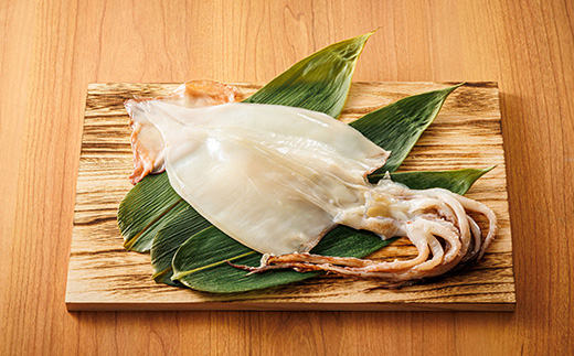 北海道産 真いか 一夜干し 2杯×4個セット | 一夜干し 烏賊 いか イカ おつまみ 焼魚 焼き魚 定食 魚 干物 セット ひもの 冷凍 人気の 訳あり！