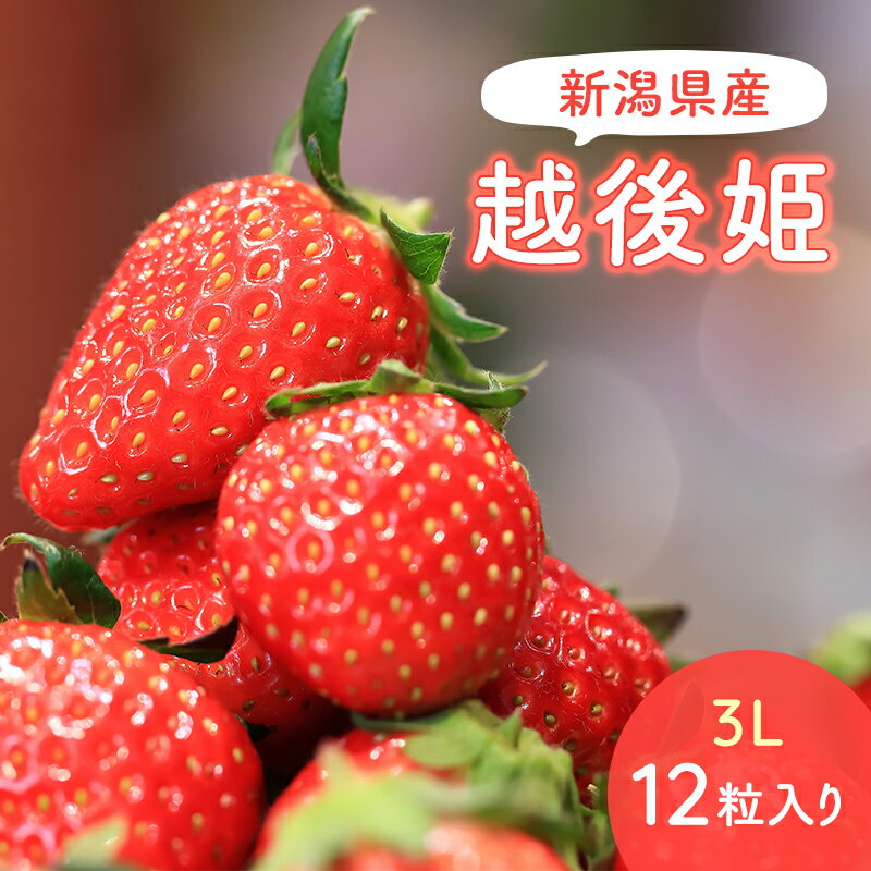 【ふるさと納税】【予約受注】2025年2月下旬より発送新潟県産越後姫3L　12粒入り 　お届け：2026年2月下旬～4月中旬