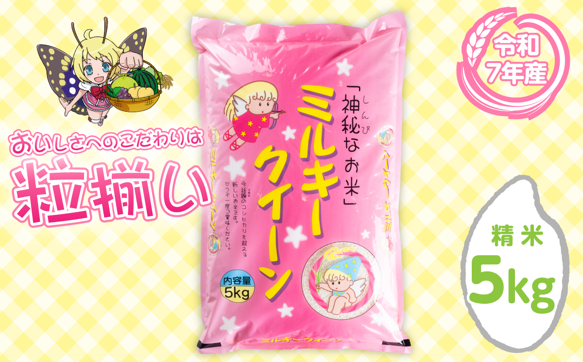 【最短7日発送】精米 ミルキークイーン 5kg 茨城県下妻市産 【 お米 米 白米 ご飯 こめ ミルキークイーン 令和7年産 茨城県産 】