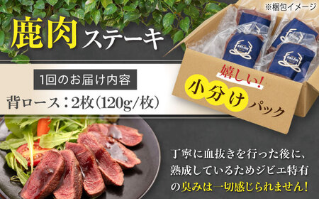 【全12回定期便】鹿肉 背ロース 120g×2枚 《喜茂別町》【EBIJIN】 ジビエ 鹿 ロース ステーキ ステーキ用 赤身 冷凍 冷凍配送 定期便[AJAO070]