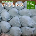 【ふるさと納税】西洋梨 （ラ・フランス） 5.5kg ご家庭用 サイズ混合 果物 フルーツ 産地直送 山形 洋なし お取り寄せ 送料無料 山形県 上山市 0142-2414