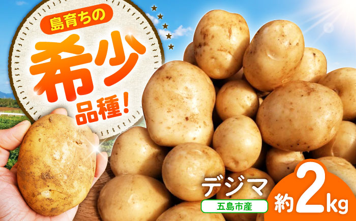 
            島の元気なじゃがいも!旨味抜群の『デジマ』2kg 五島市/あわたに農園 [PGO003]
          