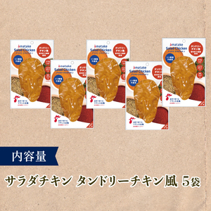 【3ヶ月/定期便】 サラダチキン タンドリーチキン風 100g×5個 計500g 3回 リン酸不使用 冷凍 鶏肉 サラダ スパイス お弁当 おかず