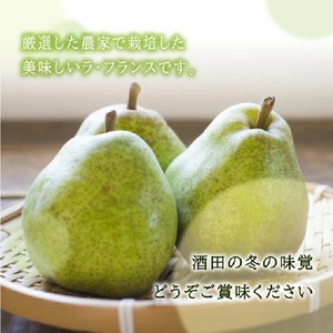 SA3039　酒田産【特選】ラ・フランス　約3kg(玉数おまかせ)