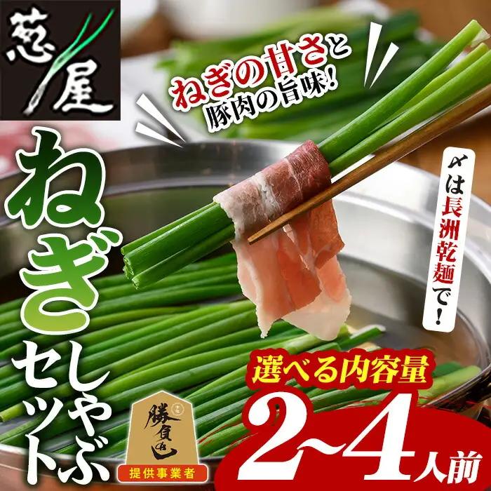 鉄板バル葱屋の ねぎしゃぶセット(2～3人前)ねぎしゃぶ しゃぶしゃぶ 豚肉 ぶた肉 ぶたにく お肉 鍋セット 乾麺 出汁 だし ポン酢 勝負めし【110700501】【葱屋おおくぼ】