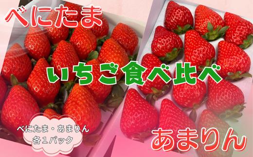 
                  【いちご食べ比べ】人気 あまりん  新品種 べにたま 2品種食べ比べ ストロベリーハント （各1パック）
                