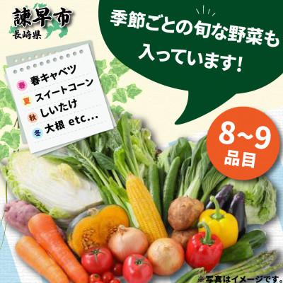 ふるさと納税 諫早市 【毎月定期便】諫早産野菜の詰め合わせ(8〜9品目)全12回 |  | 02