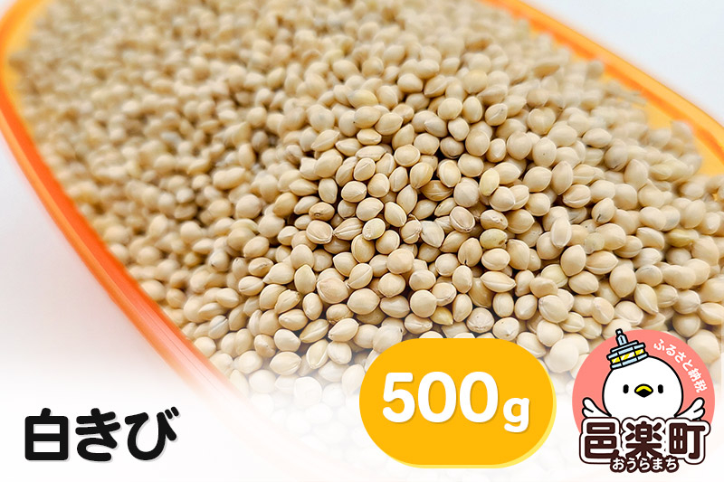 
白きび 500g×1袋 サイトウ・コーポレーション 飼料
