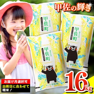ふるさと納税 甲佐町 令和7年産新米【定期便6ヶ月】『甲佐の輝き』精米16kg【配送指定可】【ZL】