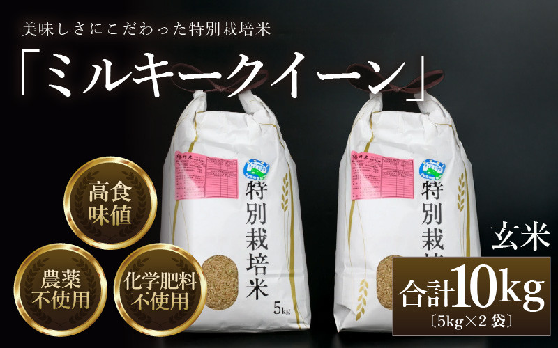 
            【先行予約】【令和7年産 新米】 ミルキークイーン 玄米 10kg （5kg×2袋） 特別栽培米 農薬不使用 化学肥料不使用 ／ 高品質 鮮度抜群 福井県産 ブランド米 ※2025年10月上旬以降順次発送 [aw063-c002]
          