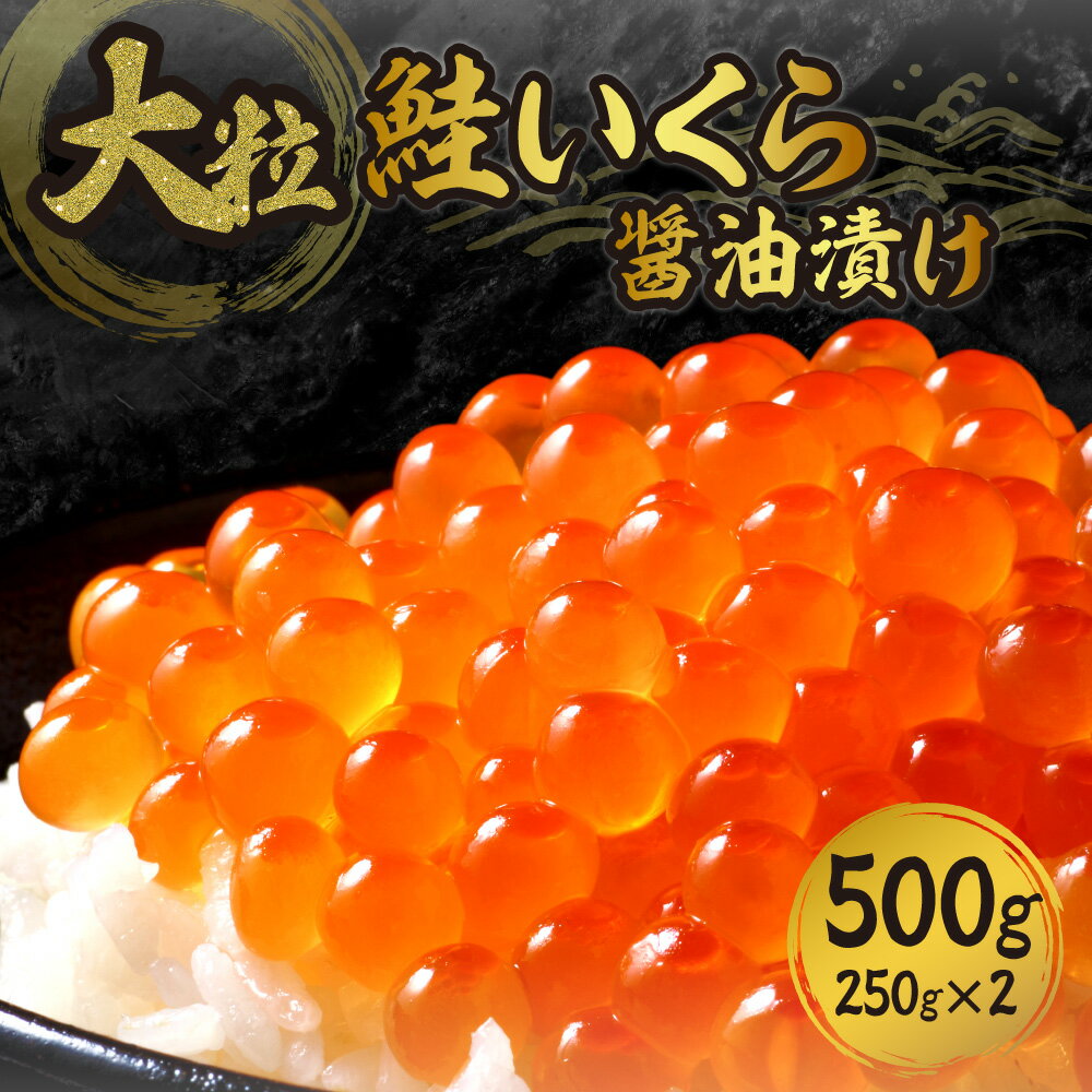 【ふるさと納税】 大粒 いくら 500g 鮭いくら 醤油漬け （250g×2） 2パック 小分け 魚卵 イクラ ikura おすすめ お取り寄せ グルメ お祝い 水産 海鮮 冷凍 おつまみ おかず ふるさと納税 北海道 札幌市
