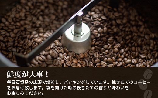 ⽯垣島産コーヒー⾖MIXブレンド ドリップパック10個セット　IW-1 【沖縄県石垣市 沖縄 沖縄県 琉球 八重山 八重山諸島 石垣 石垣島 送料無料 コーヒー チャンプルー コロンビア グアテマラ 