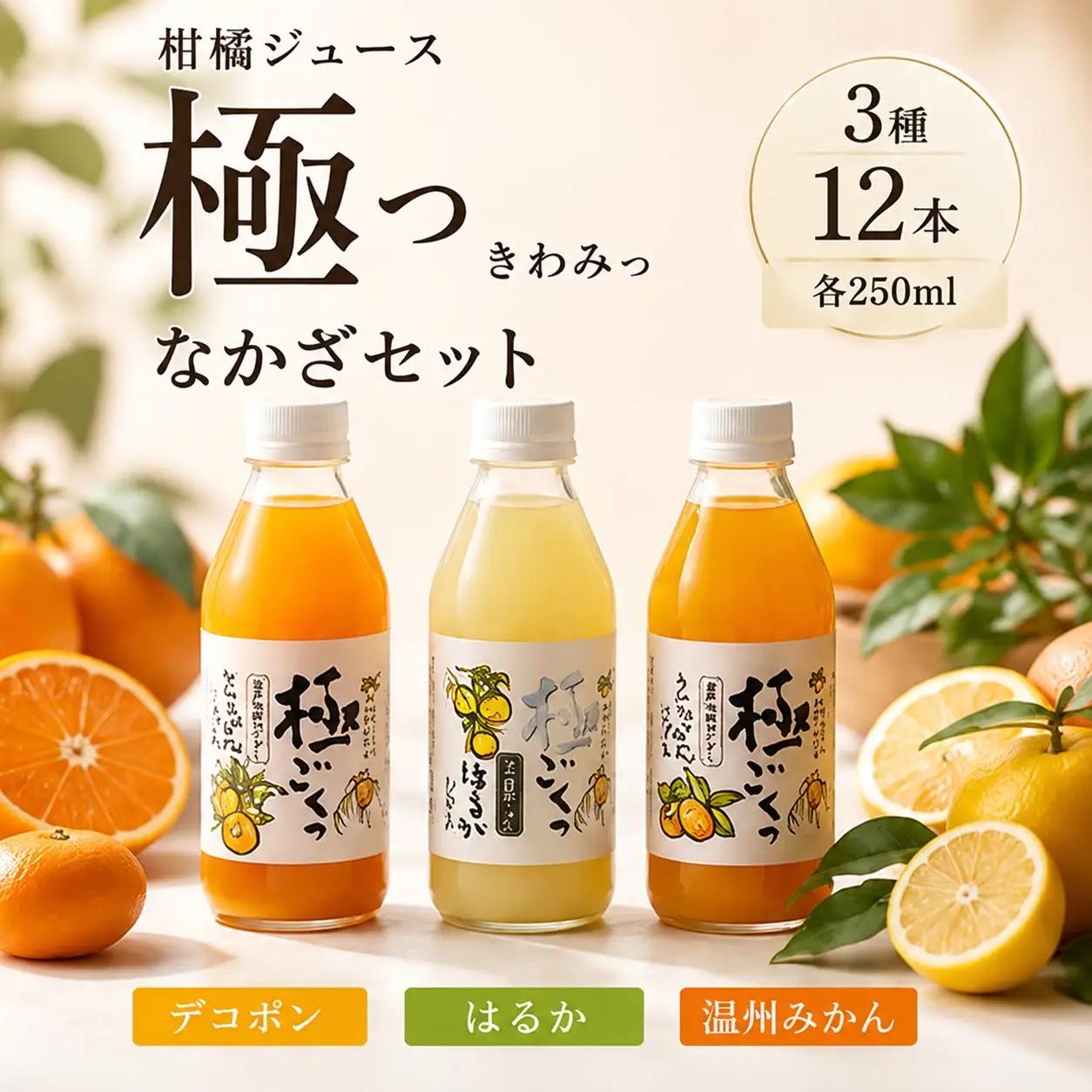 柑橘ジュース「極っ」なかざセット