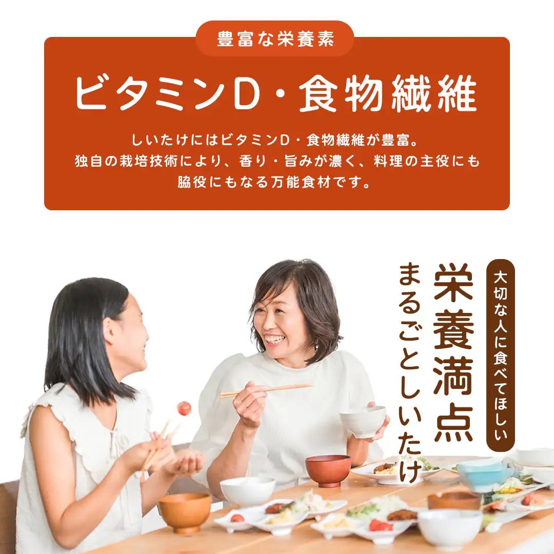 産地直送！軸まで美味しい『軸王しいたけ』サイズ混合 約500g (約24～32個)