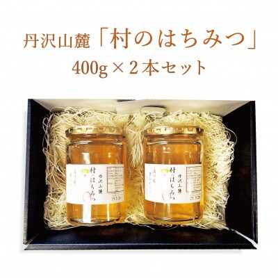 
道の駅「清川」からお届け!『丹沢山麓 清川村のはちみつ400gx2本セット』【1427487】
