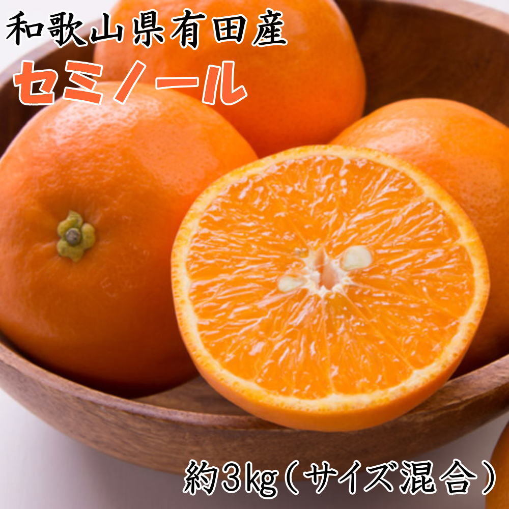 【濃厚オレンジ】和歌山有田産セミノール約3kg（サイズ混合 秀品） ※2026年4月中旬～5月上旬頃に順次発送予定<br>