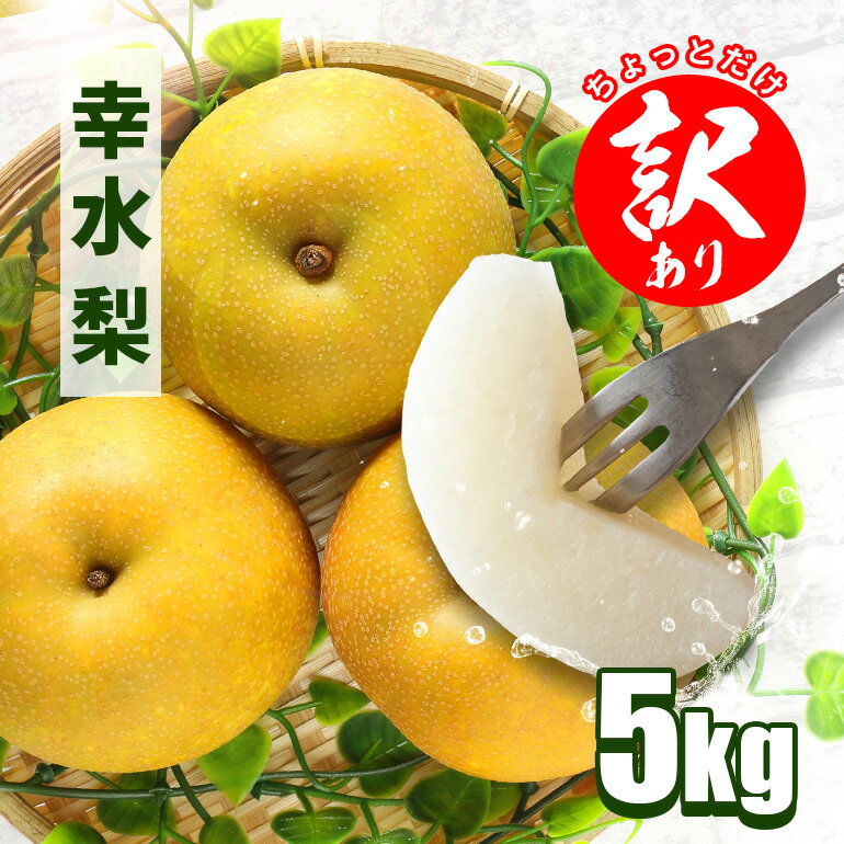 【ふるさと納税】【先行販売/8月中旬から発送】梨 幸水 訳あり 5kg箱 10～16個 なし 和梨 幸水梨 訳あり梨 ちょっとだけ訳あり 訳アリ 5キロ 茨城 完熟 甘い 秋 旬 果物 フルーツ くだもの デザート 果汁 産地直送 笠間 かさま アカツファーム いばらき
