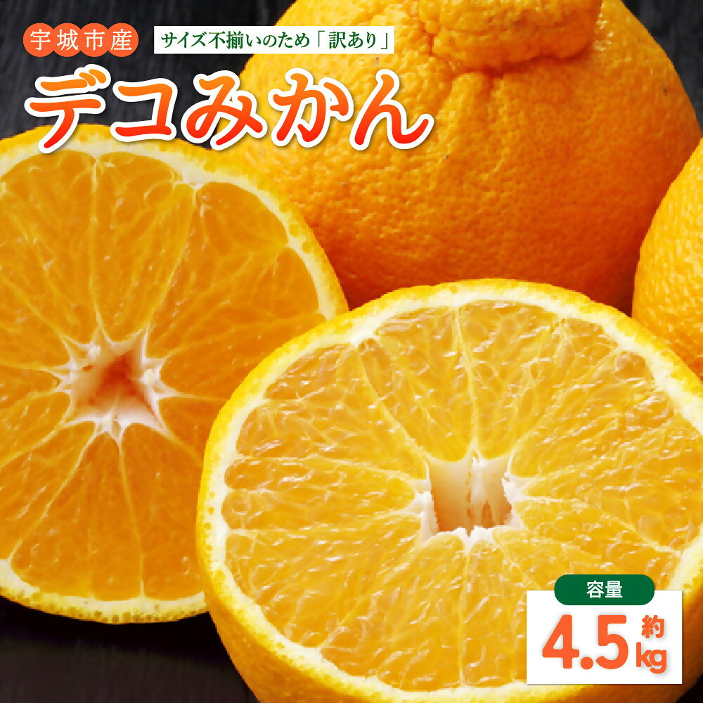 【ふるさと納税】先行予約 訳あり 不知火 デコみかん 約4.5kg 【2027年1月中旬から2027年4月下旬発送予定】デコポンと同品種 しらぬい みかん 蜜柑 柑橘 熊本県 宇城市 送料無料 株式会社Foody’s